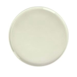 Assiette NACRE 20 cm